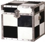 BLACK & WHITE SQUARE TRUNK